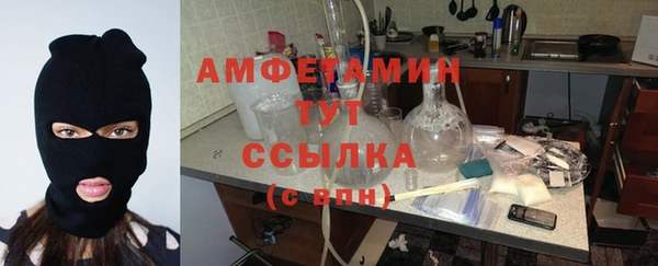 гидропоника Гусь-Хрустальный