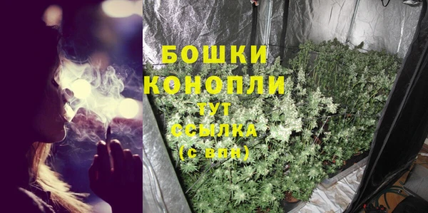 гидропоника Гусь-Хрустальный