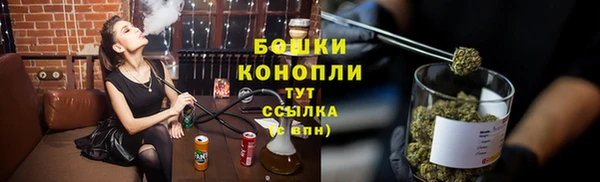 гидропоника Гусь-Хрустальный