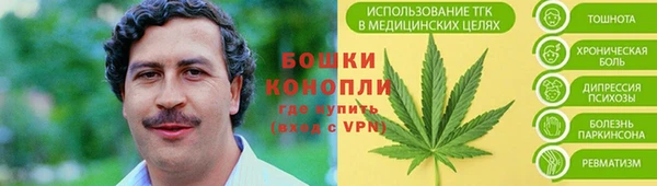 гидропоника Гусь-Хрустальный