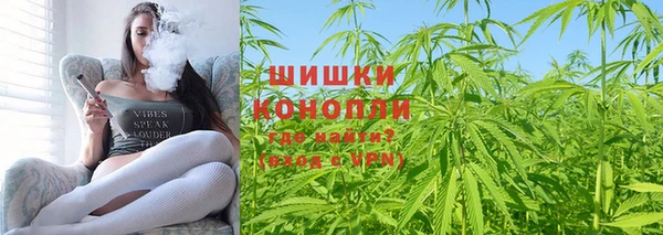 гидропоника Гусь-Хрустальный
