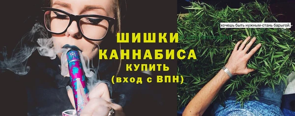 альфа пвп Гусев
