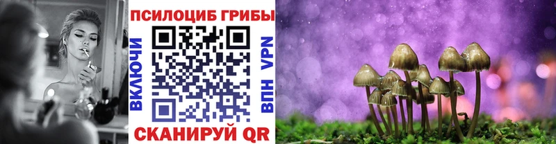 Псилоцибиновые грибы MAGIC MUSHROOMS  Мосальск 