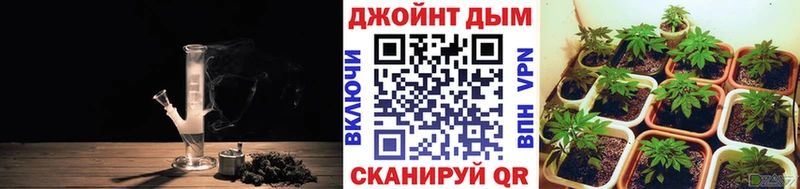 Шишки марихуана THC 21%  shop какой сайт  Мосальск  купить наркотики сайты 